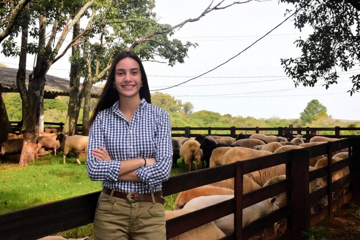 Agropecuária AL 2025