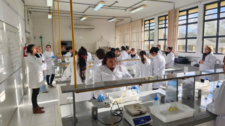 guriasnaciência notícia11022026reduzida