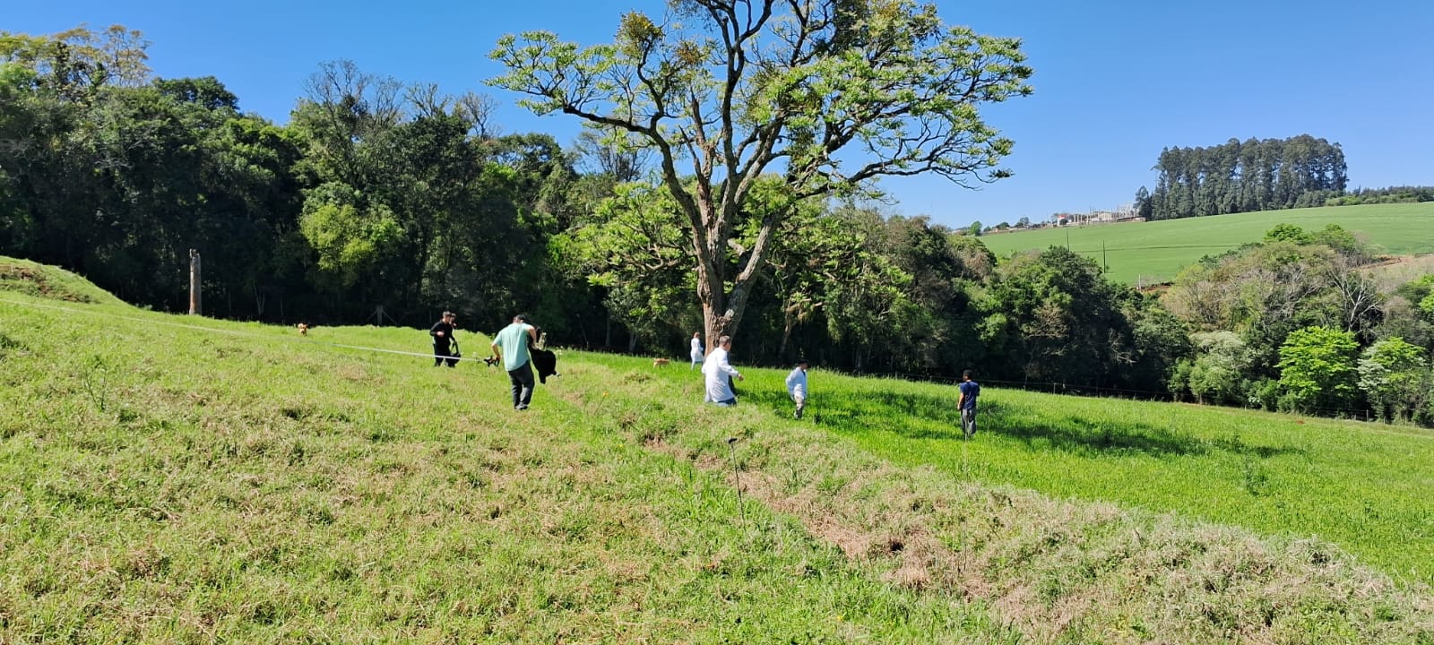 3 Lançamento