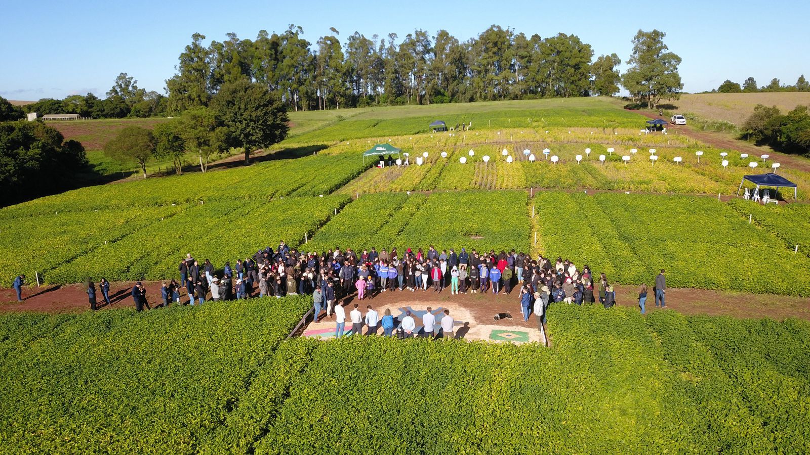 WhatsApp Image 2025-04-10 at 13.00.54.jpeg