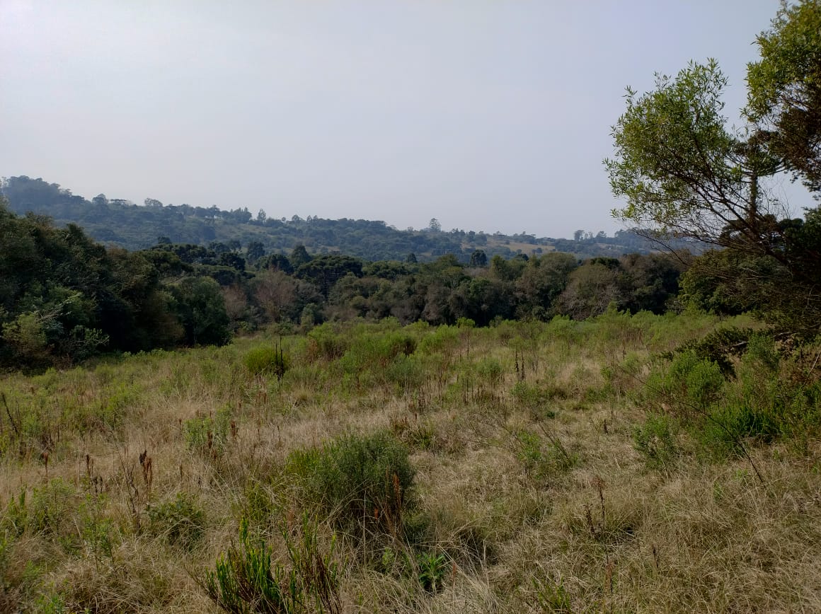 area onde será construído o campus caçapava 21 8 2024